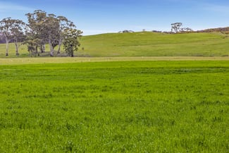Rural / Farming commercial property sold at CA 24C Sec E Frenchmans-St Arnaud Road Barkly VIC 3384 Rural / Farming commercial property sold at CA 24C Sec E Frenchmans-St Arnaud Road Barkly VIC 3384