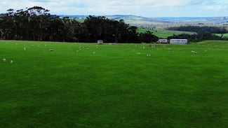 Rural / Farming commercial property sold at Doreys Road Scotts Creek VIC 3267 Rural / Farming commercial property sold at Doreys Road Scotts Creek VIC 3267