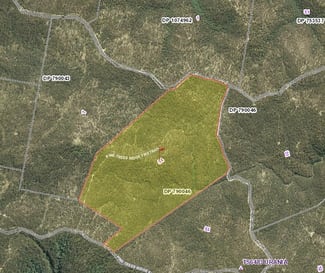 Rural / Farming commercial property sold at 3221 Blacksmith Shop Road Newton Boyd NSW 2370