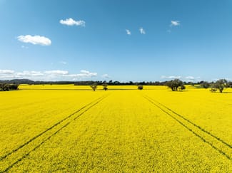Rural / Farming commercial property for sale at 484 Merri Meric Road Henty NSW 2658
