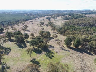 Rural / Farming commercial property sold at 1173 Cargo Road Lidster NSW 2800
