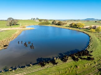 Rural / Farming commercial property sold at 110 & 136 Beneree Road Tallwood NSW 2798