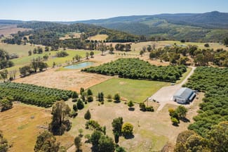 Rural / Farming commercial property for sale at 1 Willigobung Road Tumbarumba NSW 2653 Rural / Farming commercial property for sale at 1 Willigobung Road Tumbarumba NSW 2653