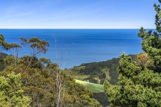 Rural / Farming commercial property for sale at 675 Skenes Creek Road Skenes Creek North VIC 3233 Rural / Farming commercial property for sale at 675 Skenes Creek Road Skenes Creek North VIC 3233