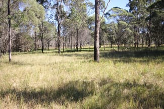 Rural / Farming commercial property sold at Lot 1 Shannondale Road Shannondale NSW 2460 Rural / Farming commercial property sold at Lot 1 Shannondale Road Shannondale NSW 2460