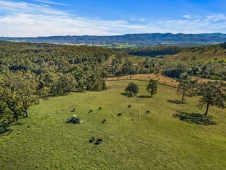Rural / Farming commercial property for sale at 345 Glen Road Craven NSW 2422 Rural / Farming commercial property for sale at 345 Glen Road Craven NSW 2422