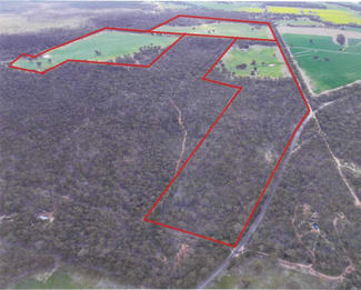 Rural / Farming commercial property for sale at 83 Tarnagulla-Eddington Road Waanyarra VIC 3551 Rural / Farming commercial property for sale at 83 Tarnagulla-Eddington Road Waanyarra VIC 3551