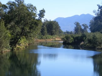Rural / Farming commercial property sold at 1041 South Arm Rd Bellingen NSW 2454 Rural / Farming commercial property sold at 1041 South Arm Rd Bellingen NSW 2454