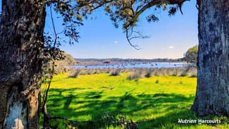 Rural / Farming commercial property for sale at Lot 52 Cowalla Road Cowalla WA 6503