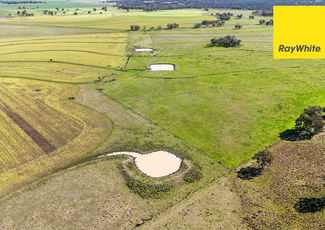 Rural / Farming commercial property sold at 231 Middletons Lane Inverell NSW 2360 Rural / Farming commercial property sold at 231 Middletons Lane Inverell NSW 2360