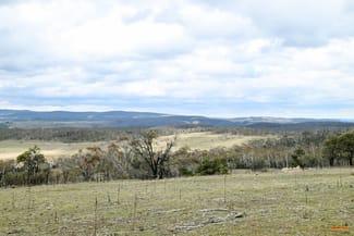 Rural / Farming commercial property for sale at "Eagle Heights" 636 Caddigat Road Dry Plain NSW 2630