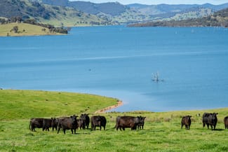 Rural / Farming commercial property for sale at 1523 Murray River Road Talgarno VIC 3691
