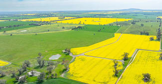 Rural / Farming commercial property sold at 596 Gum Swamp Road Balldale NSW 2646