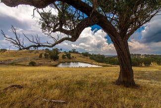 Rural / Farming commercial property for sale at 2400 Sapphire Road Wheeo NSW 2583 Rural / Farming commercial property for sale at 2400 Sapphire Road Wheeo NSW 2583