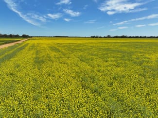 Rural / Farming commercial property sold at Lot 1 Coughlins Road Hunter VIC 3558