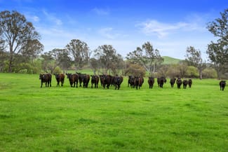 Rural / Farming commercial property for sale at 6089 Melba Highway Yea VIC 3717 Rural / Farming commercial property for sale at 6089 Melba Highway Yea VIC 3717