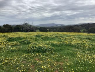Rural / Farming commercial property for sale at 20 Chetwynd Road Whiteheads Creek VIC 3660 Rural / Farming commercial property for sale at 20 Chetwynd Road Whiteheads Creek VIC 3660