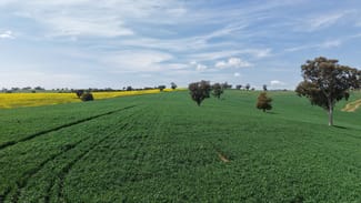 Rural / Farming commercial property sold at Monterosa, 744 Warrendale Road Greenethorpe NSW 2809 Rural / Farming commercial property sold at Monterosa, 744 Warrendale Road Greenethorpe NSW 2809