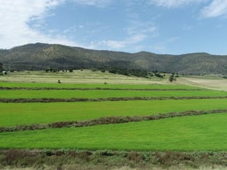 Rural / Farming commercial property sold at Lot 1 874 Top Swanfels Road Swanfels QLD 4371 Rural / Farming commercial property sold at Lot 1 874 Top Swanfels Road Swanfels QLD 4371
