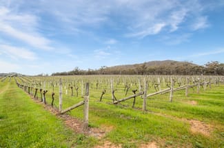 Rural / Farming commercial property sold at 563 Northern Highway Heathcote VIC 3523 Rural / Farming commercial property sold at 563 Northern Highway Heathcote VIC 3523