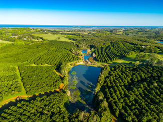 Rural / Farming commercial property for sale at 145 Brooklet Road Newrybar NSW 2479 Rural / Farming commercial property for sale at 145 Brooklet Road Newrybar NSW 2479
