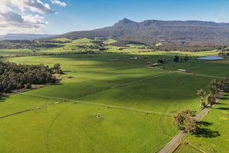 Rural / Farming commercial property for sale at 1037 & 1044 Dairy Plains Road Western Creek TAS 7304 Rural / Farming commercial property for sale at 1037 & 1044 Dairy Plains Road Western Creek TAS 7304