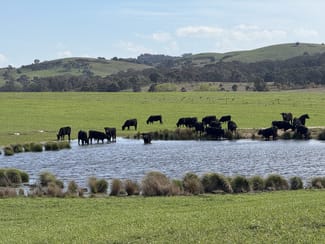 Rural / Farming commercial property for sale at 569 & 640 Blakney Creek North Road Blakney Creek NSW 2581 Rural / Farming commercial property for sale at 569 & 640 Blakney Creek North Road Blakney Creek NSW 2581