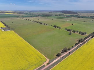 Rural / Farming commercial property sold at 100 Tauntons Road Kikiamah NSW 2594 Rural / Farming commercial property sold at 100 Tauntons Road Kikiamah NSW 2594