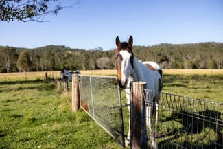 Rural / Farming commercial property sold at 29 Marylands Close Hillville NSW 2430 Rural / Farming commercial property sold at 29 Marylands Close Hillville NSW 2430
