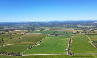 Rural / Farming commercial property for sale at 798 Bethel Road Glenellen NSW 2642