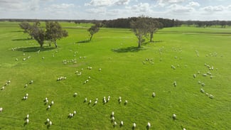 Rural / Farming commercial property for sale at 546 Bool Lagoon West Road Spence SA 5271