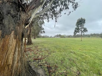 Rural / Farming commercial property sold at Merton Vale Road Willung VIC 3847 Rural / Farming commercial property sold at Merton Vale Road Willung VIC 3847