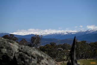 Rural / Farming commercial property sold at Proposed Lot A, 845 Avonside Road Avonside NSW 2628