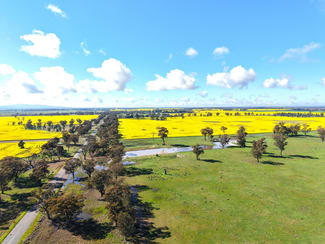 Rural / Farming commercial property for sale at 1539 Bland Road Quandialla NSW 2721 Rural / Farming commercial property for sale at 1539 Bland Road Quandialla NSW 2721