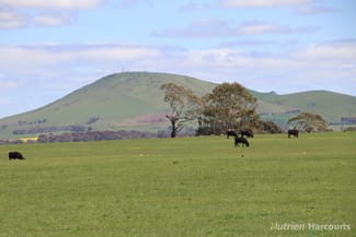 Rural / Farming commercial property sold at 279 Eastern Hill Road Blampied VIC 3364 Rural / Farming commercial property sold at 279 Eastern Hill Road Blampied VIC 3364