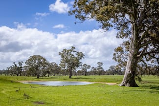 Rural / Farming commercial property sold at 30 Armidale Rd Coojar VIC 3315