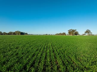 Rural / Farming commercial property for sale at 479 Stokes Road Strathmerton VIC 3641