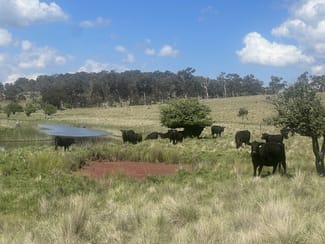 Rural / Farming commercial property sold at 400 Bullock Mountain Road Glen Innes NSW 2370 Rural / Farming commercial property sold at 400 Bullock Mountain Road Glen Innes NSW 2370