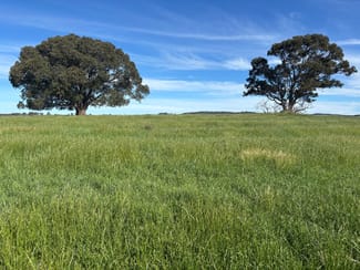 Rural / Farming commercial property for sale at 1050 Garland Road Garland NSW 2797