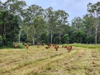 Rural / Farming commercial property sold at Lot 3 Kanigan Road Kanigan QLD 4570