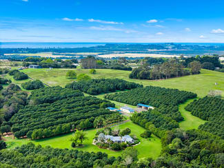Rural / Farming commercial property for sale at 271 Alcorn Road Knockrow NSW 2479 Rural / Farming commercial property for sale at 271 Alcorn Road Knockrow NSW 2479