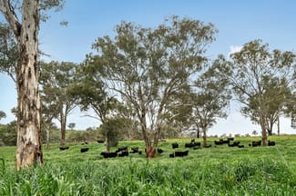 Rural / Farming commercial property sold at 5902 Mitchell Highway Molong NSW 2866 Rural / Farming commercial property sold at 5902 Mitchell Highway Molong NSW 2866