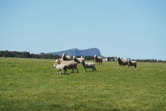 Rural / Farming commercial property sold at 3078 Victoria Point Road Moutajup VIC 3294