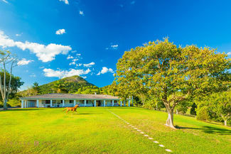 Rural / Farming commercial property for sale at 116 Lone Hand Road Eumundi QLD 4562