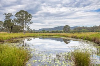 Rural / Farming commercial property sold at 76 Stony Creek Road Kimbriki NSW 2429 Rural / Farming commercial property sold at 76 Stony Creek Road Kimbriki NSW 2429