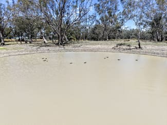 Rural / Farming commercial property sold at 1359 Saddleback Road Forbes NSW 2871