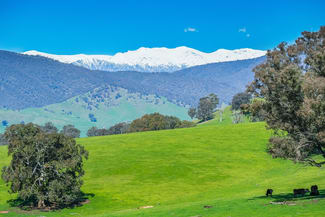 Rural / Farming commercial property sold at Lot 1 Murray Valley Highway Towong Upper VIC 3707 Rural / Farming commercial property sold at Lot 1 Murray Valley Highway Towong Upper VIC 3707