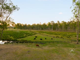 Rural / Farming commercial property sold at 888 Mundoolun Connection Road Tamborine QLD 4270