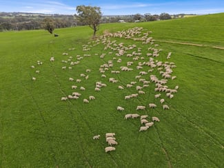 Rural / Farming commercial property for sale at 2056 Benalla-Yarrawona Road Bungeet West VIC 3726 Rural / Farming commercial property for sale at 2056 Benalla-Yarrawona Road Bungeet West VIC 3726