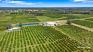 Rural / Farming commercial property for sale at 154-198 Torgannah Road Koonoomoo VIC 3644 Rural / Farming commercial property for sale at 154-198 Torgannah Road Koonoomoo VIC 3644